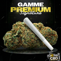 PRÉ-ROLL TROPICAL HAZE - SIGNATURE